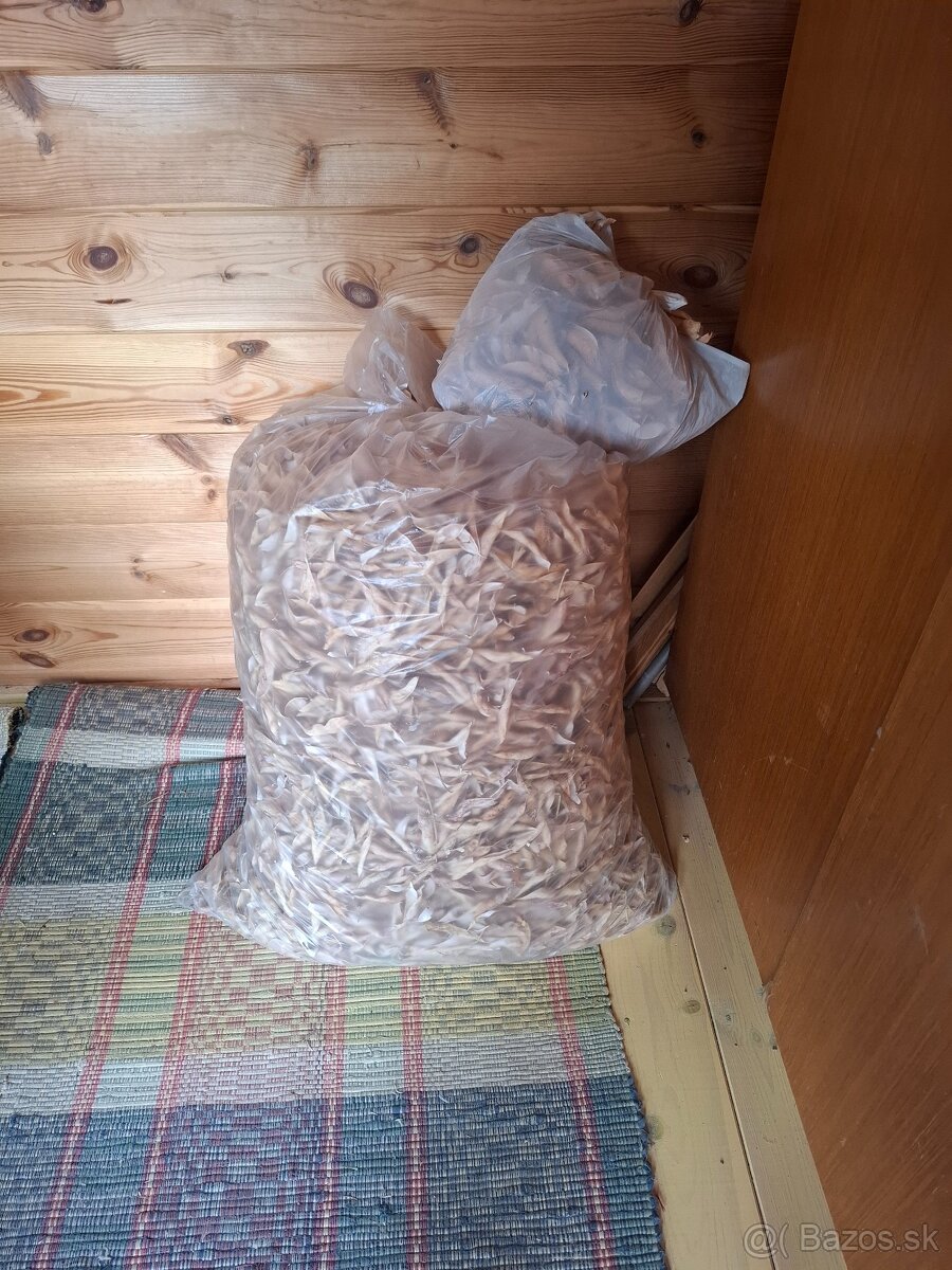 Fazulové struky - suché, vylúpané