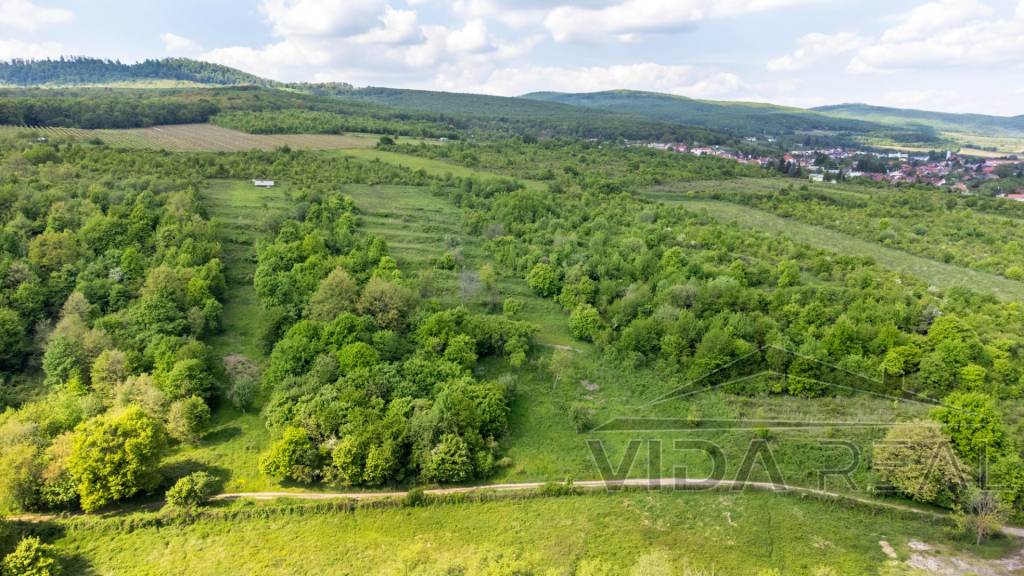 Stavebné pozemky 11 558 m² v atraktívnej lokalite Častá – Pí