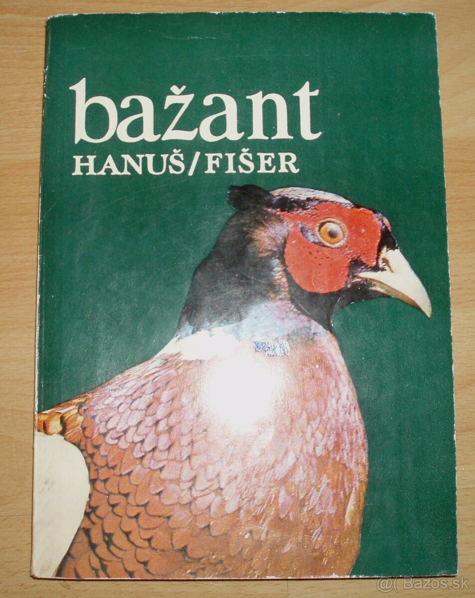 Bažant