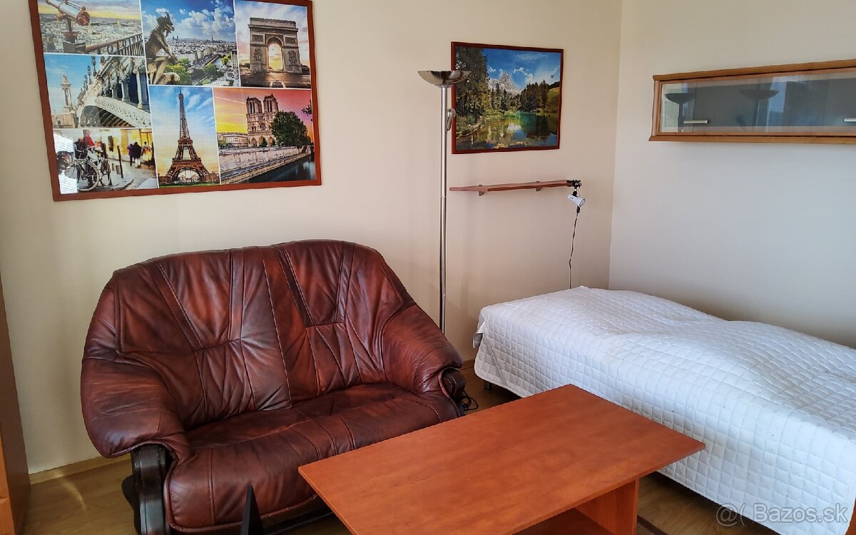 Prenájom 1 izbového bytu na sidlisku Juh