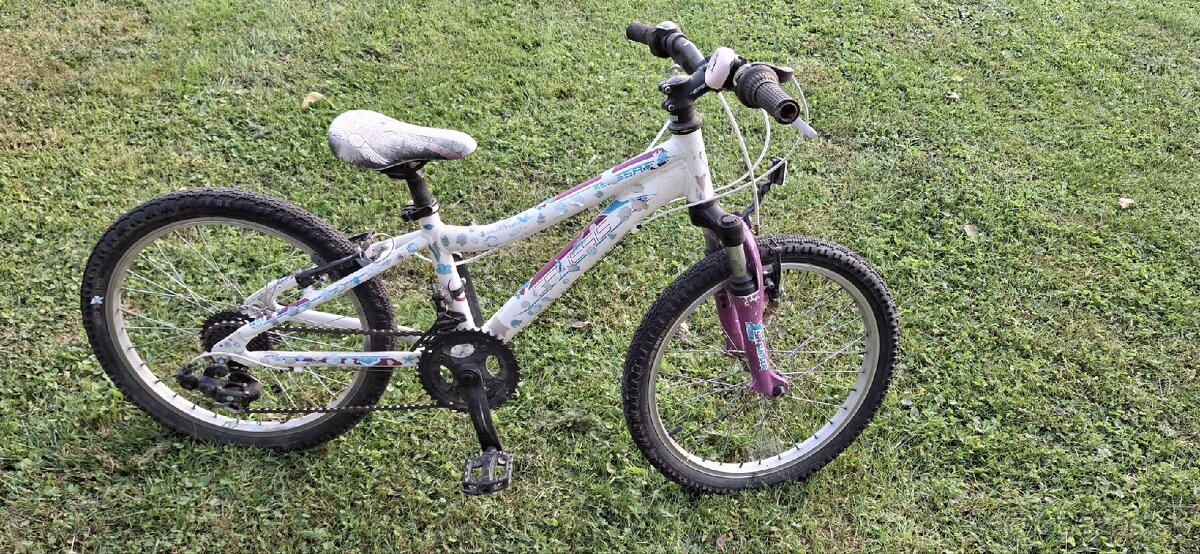 Dievčenský bicykel, 20ka
