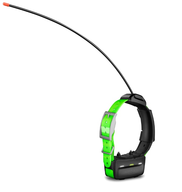 Kúpim obojok garmin gps tt15 mini, t5 mini.