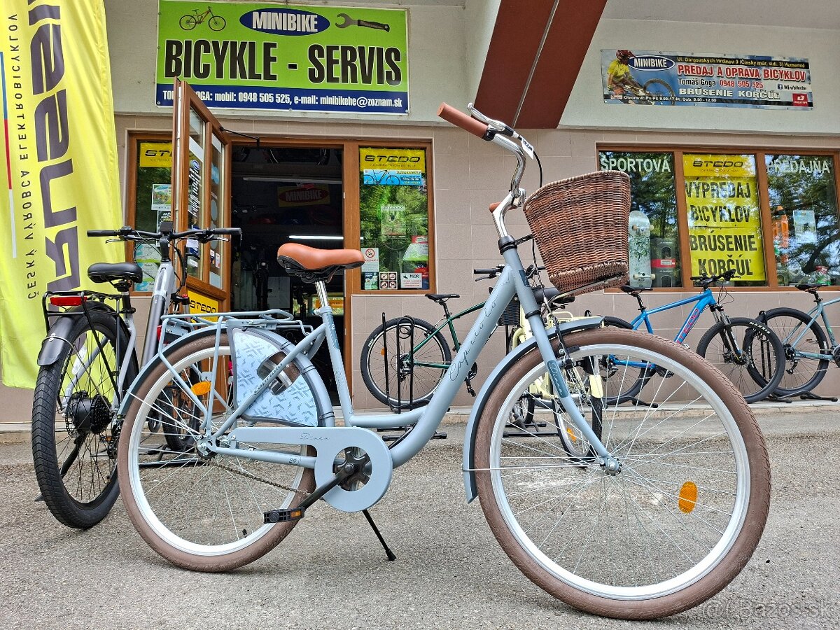 Mestský bicykel -retro