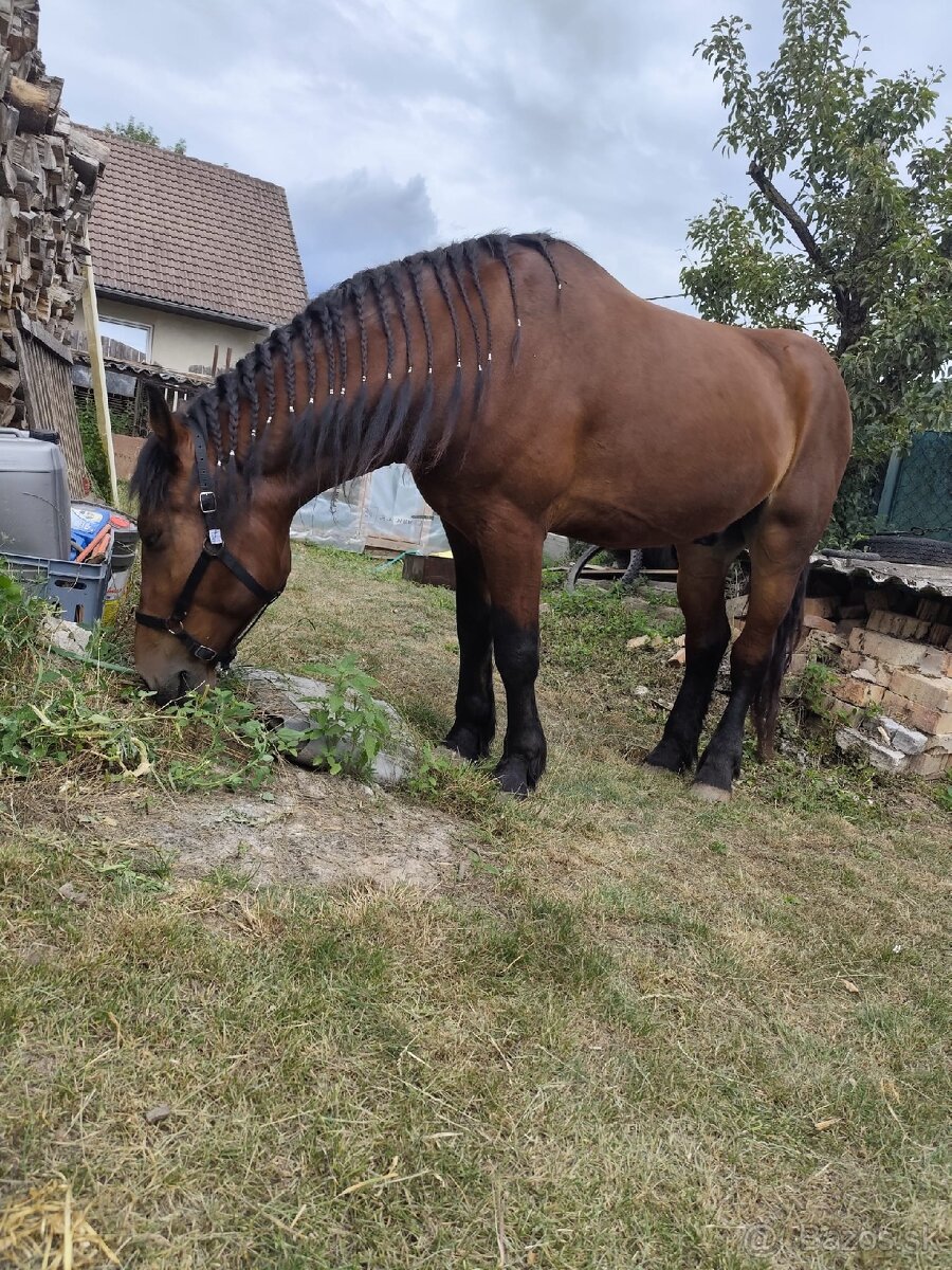 Poloťažný kôň