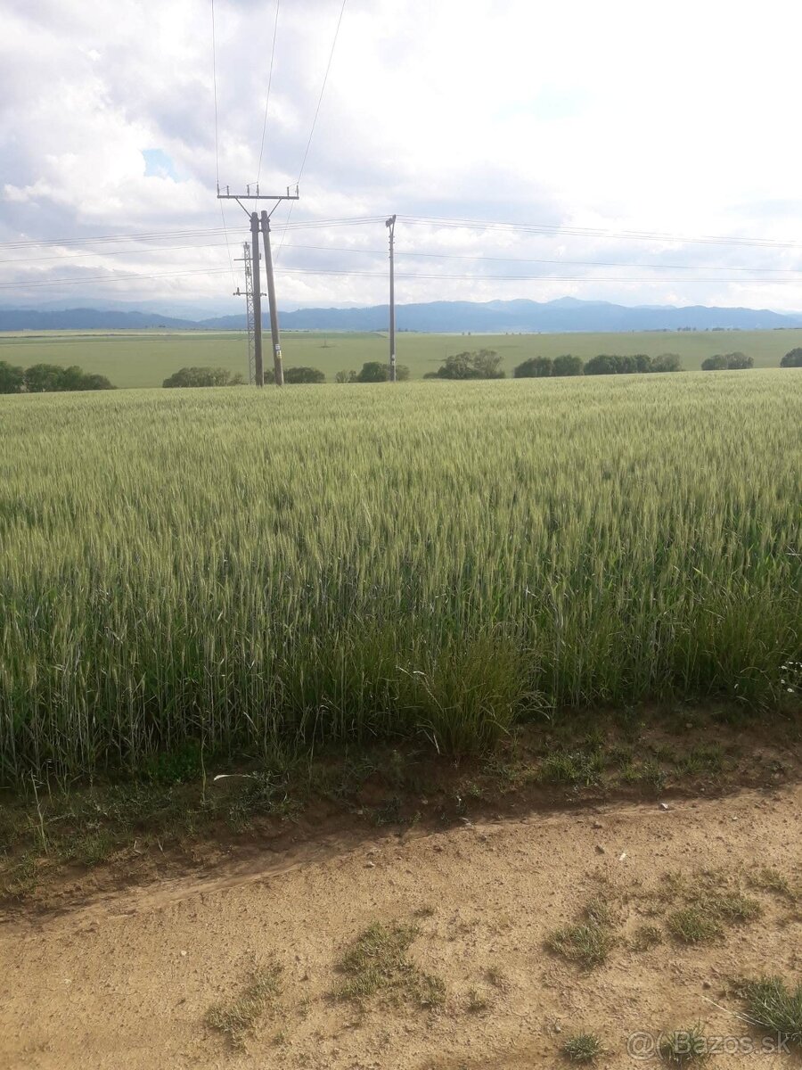 Pozemok Mlynica 85€m2
