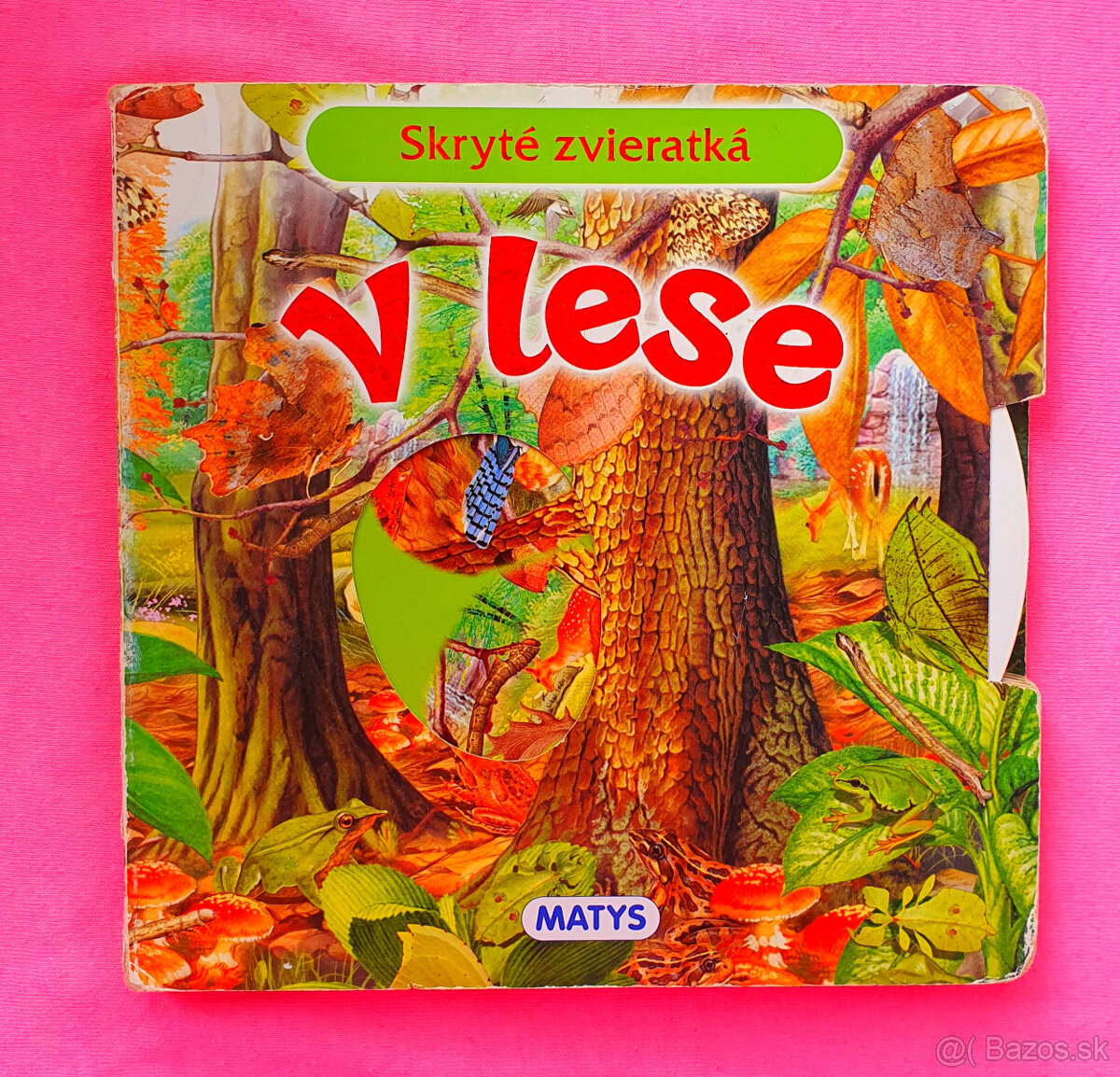 V lese. Skryté zvieratká.