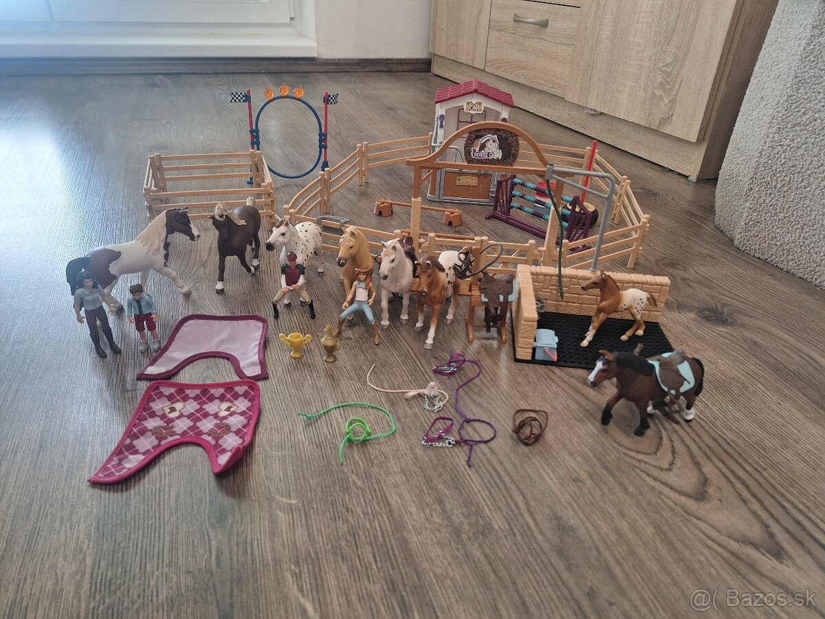 Kone Schleich