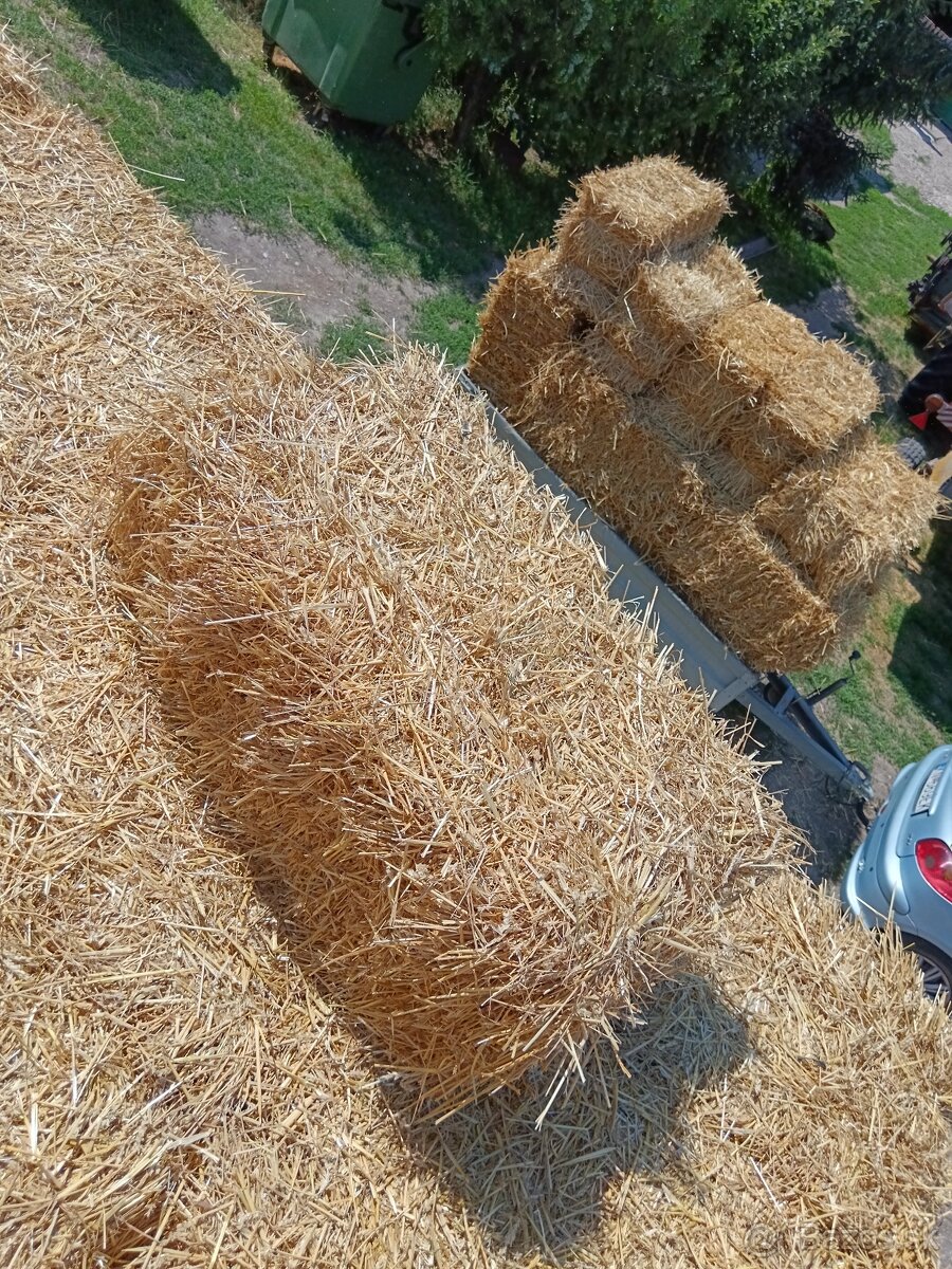 Predám malé balíky slamy
