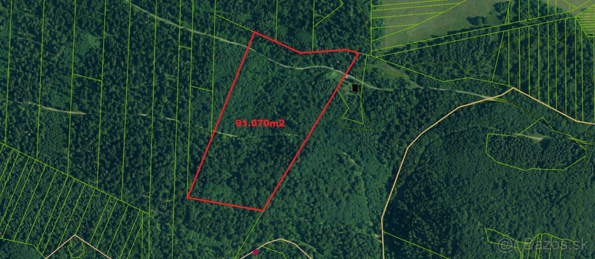 Lesný pozemok Dubovica 91.070m2