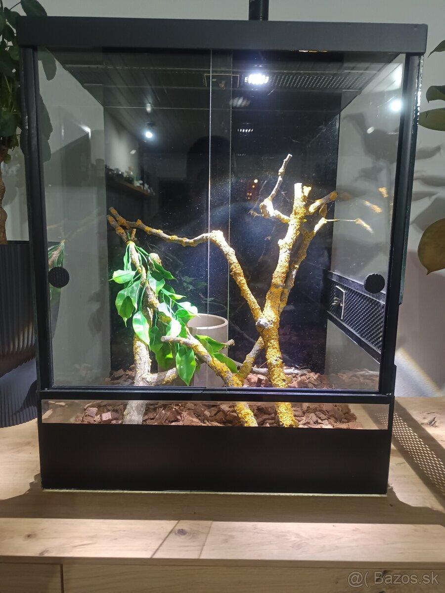 Terarium