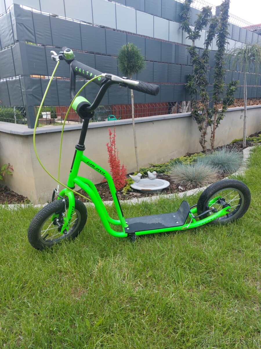 Kolobežka Galaxy Calypso 12"