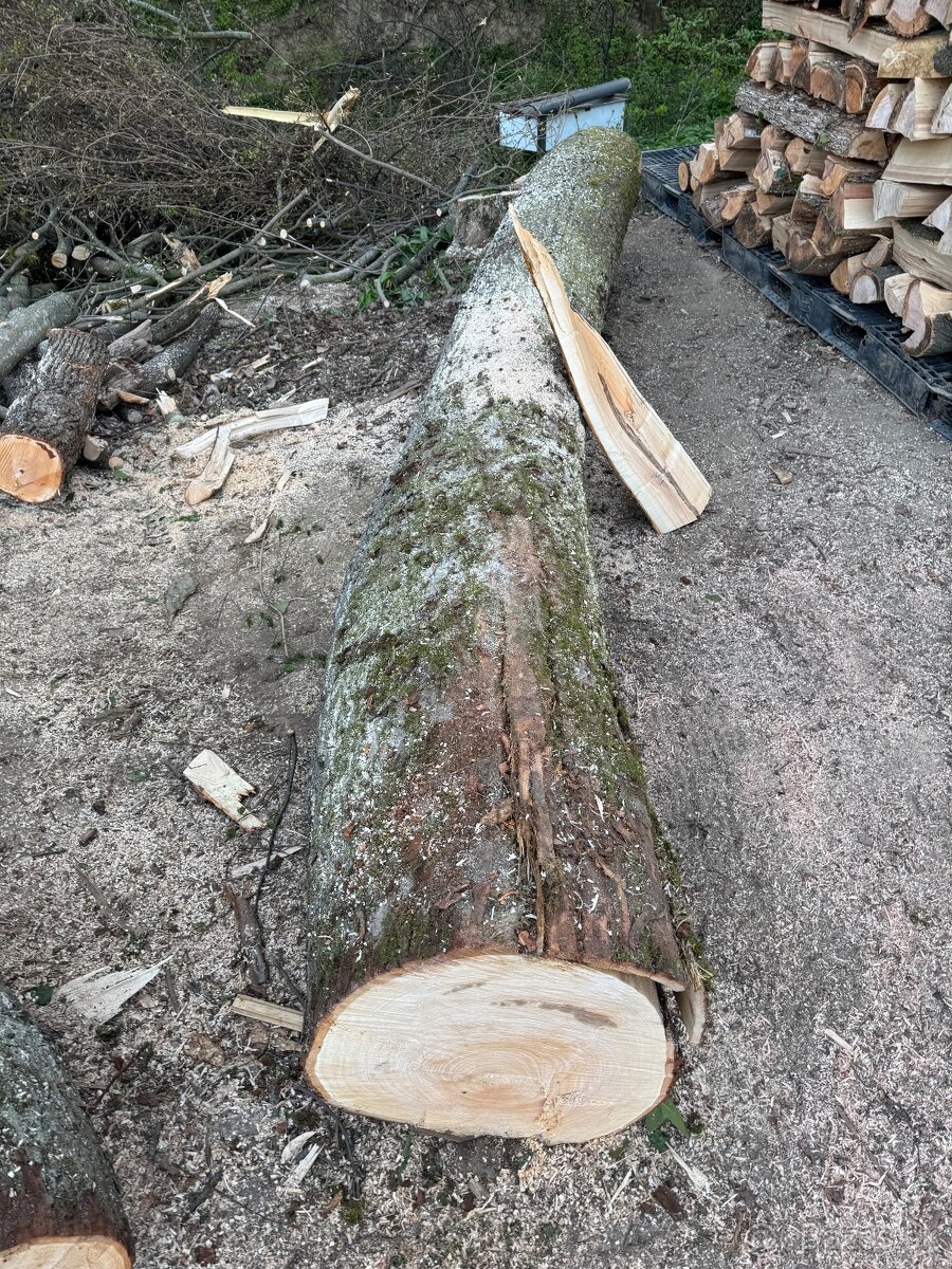 Predám lipové drevo