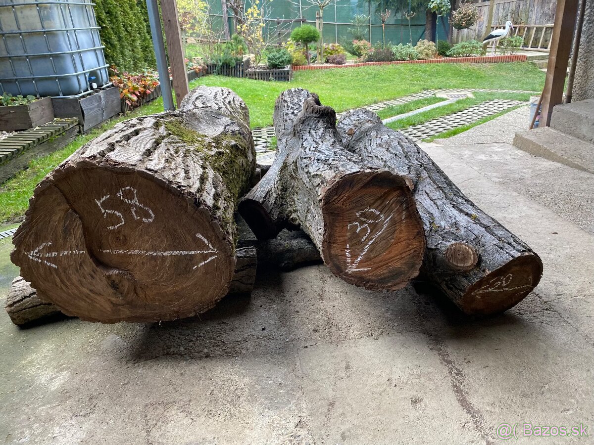 Orechové kmene, guľatina