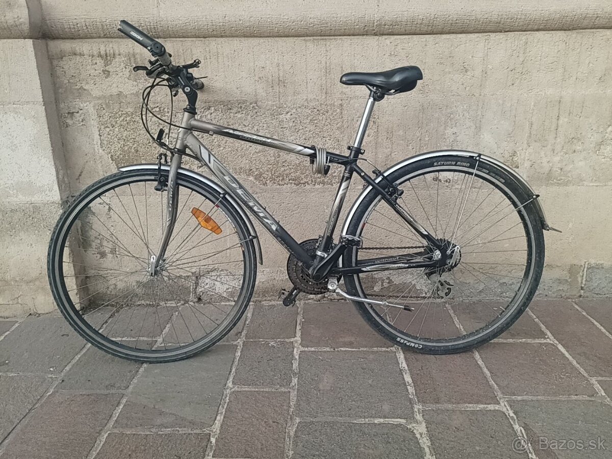 DEMA assisi