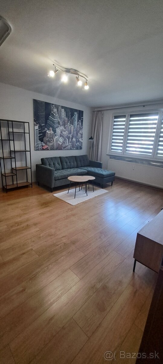 Ponúkam na prenájom 1-izbový byt