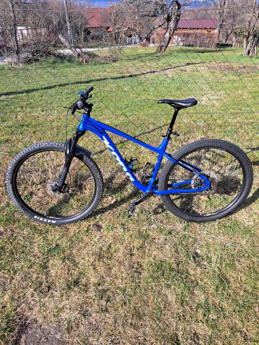 Kona kahuna