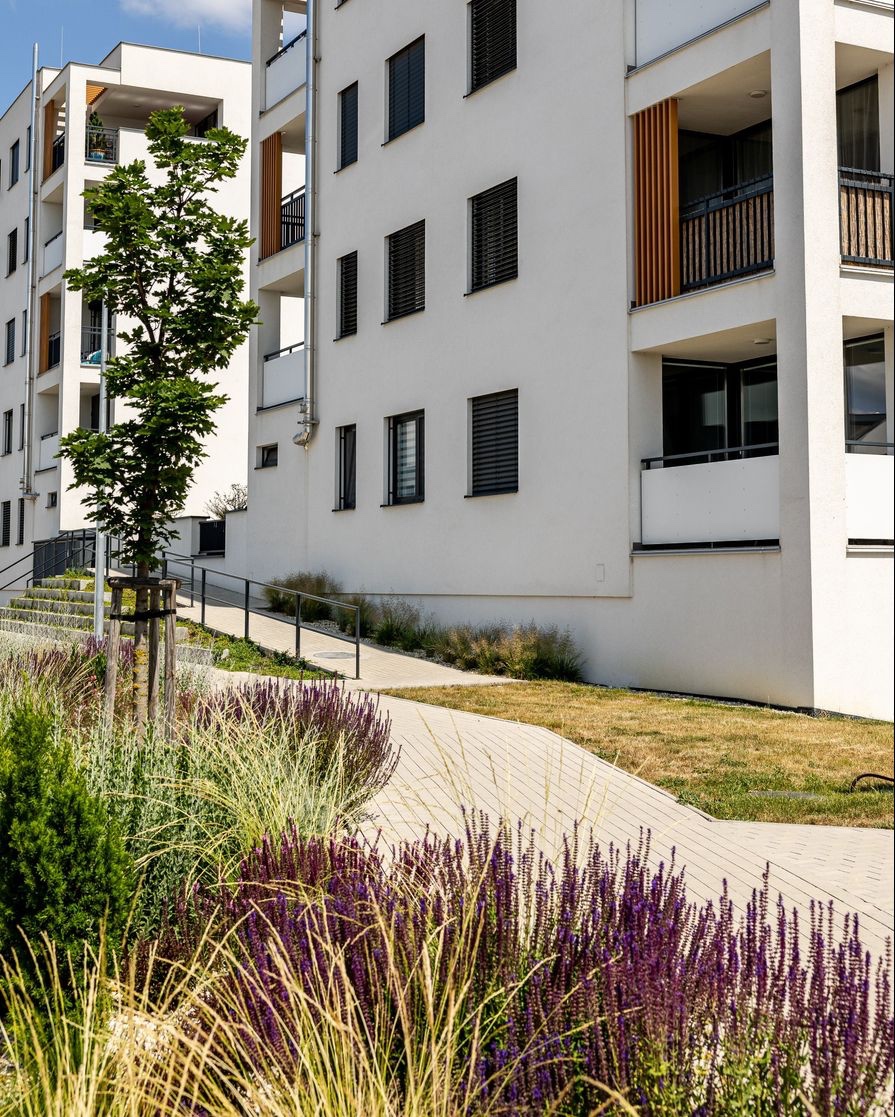 Prenájom 1,5-izb byt Vinohrady