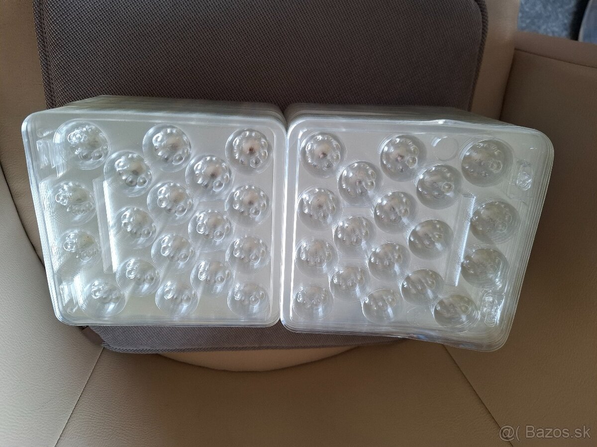 Plastový obal na prepelicie vajicka