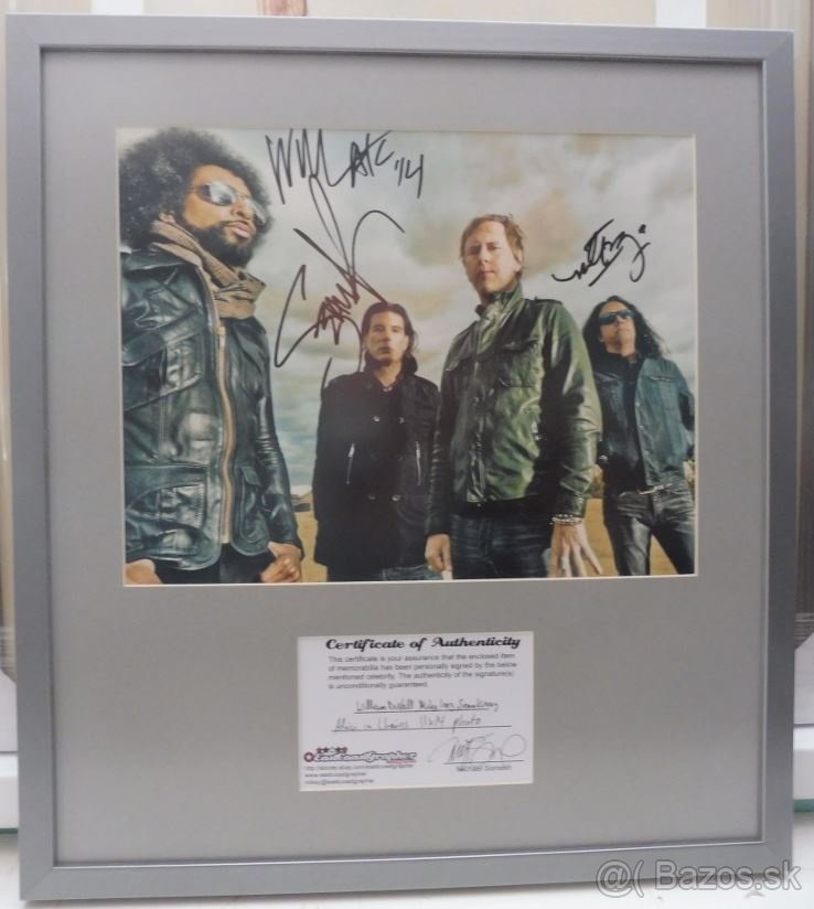 Akcia - Podpisy - Alice In Chains.