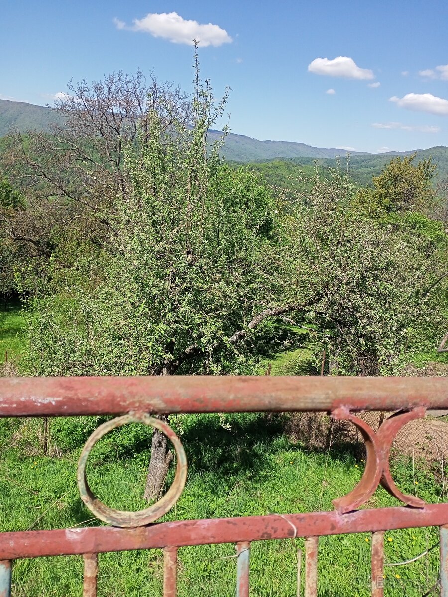 Záhrada 9 árov na predaj v Sirku