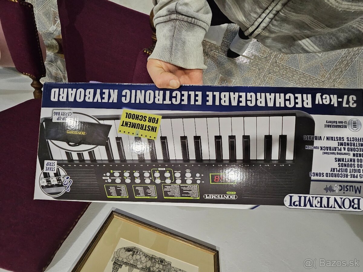 Malý elektrické klávesy