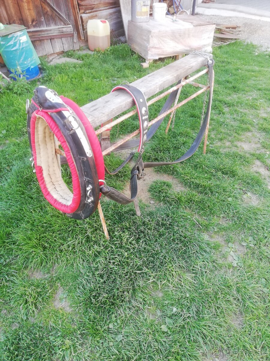 Predám konský postroj, chomut, kôň