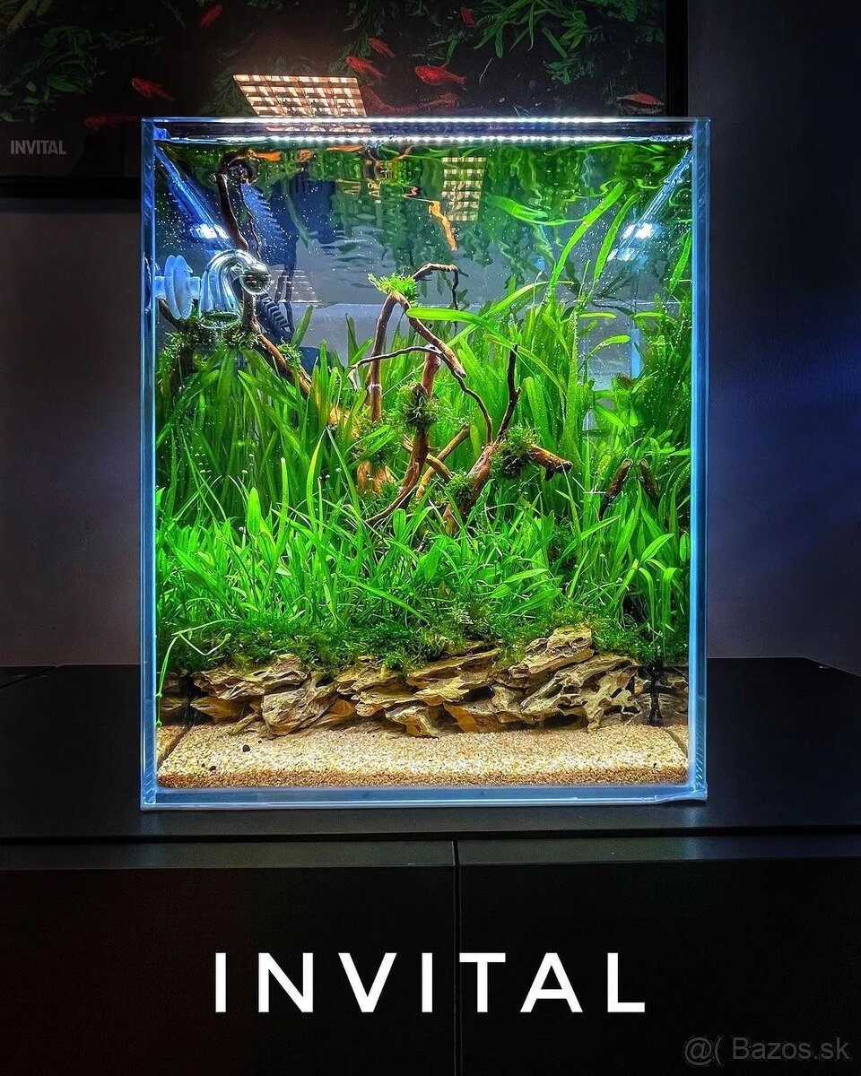 INVITAL Shrimp LED akváriový set 20 l