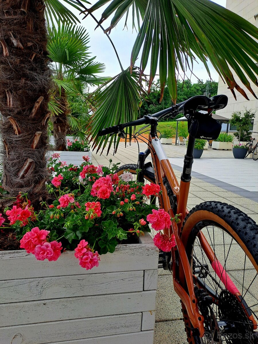 Predam MTB bike SANTA CRUZ