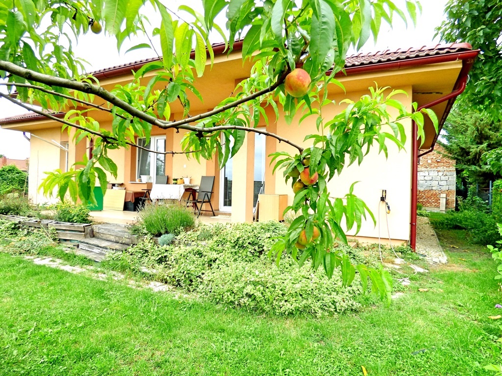 Rodinný dom (dva domy) na pozemku 1 087 m2, Trnávka - (DS)