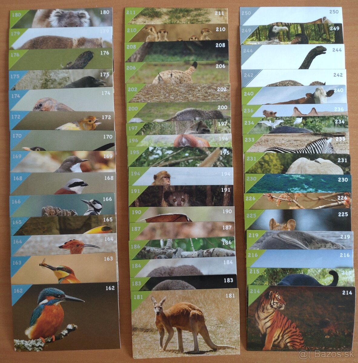 Nálepky Animal Kingdom