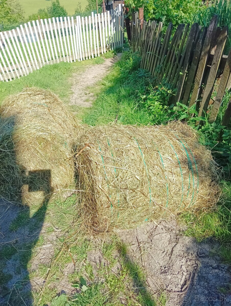 Seno malé balíky