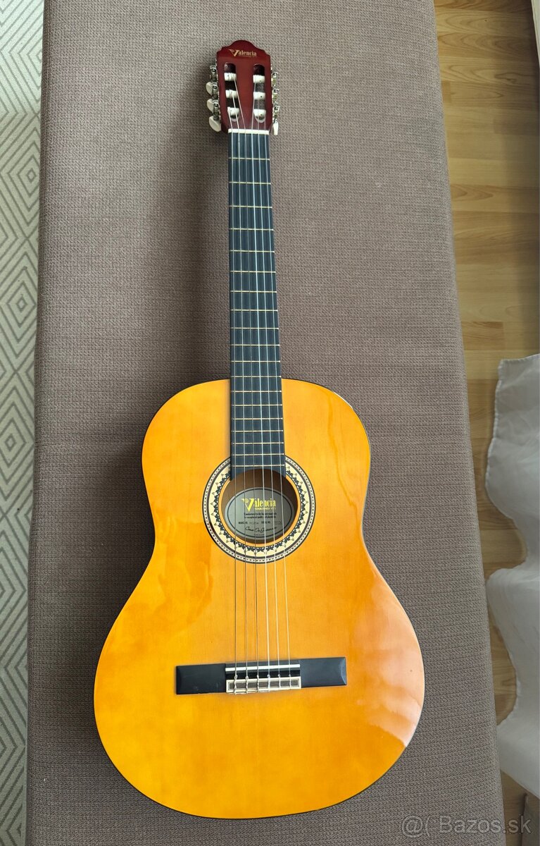 Gitara Valencia VC 254
