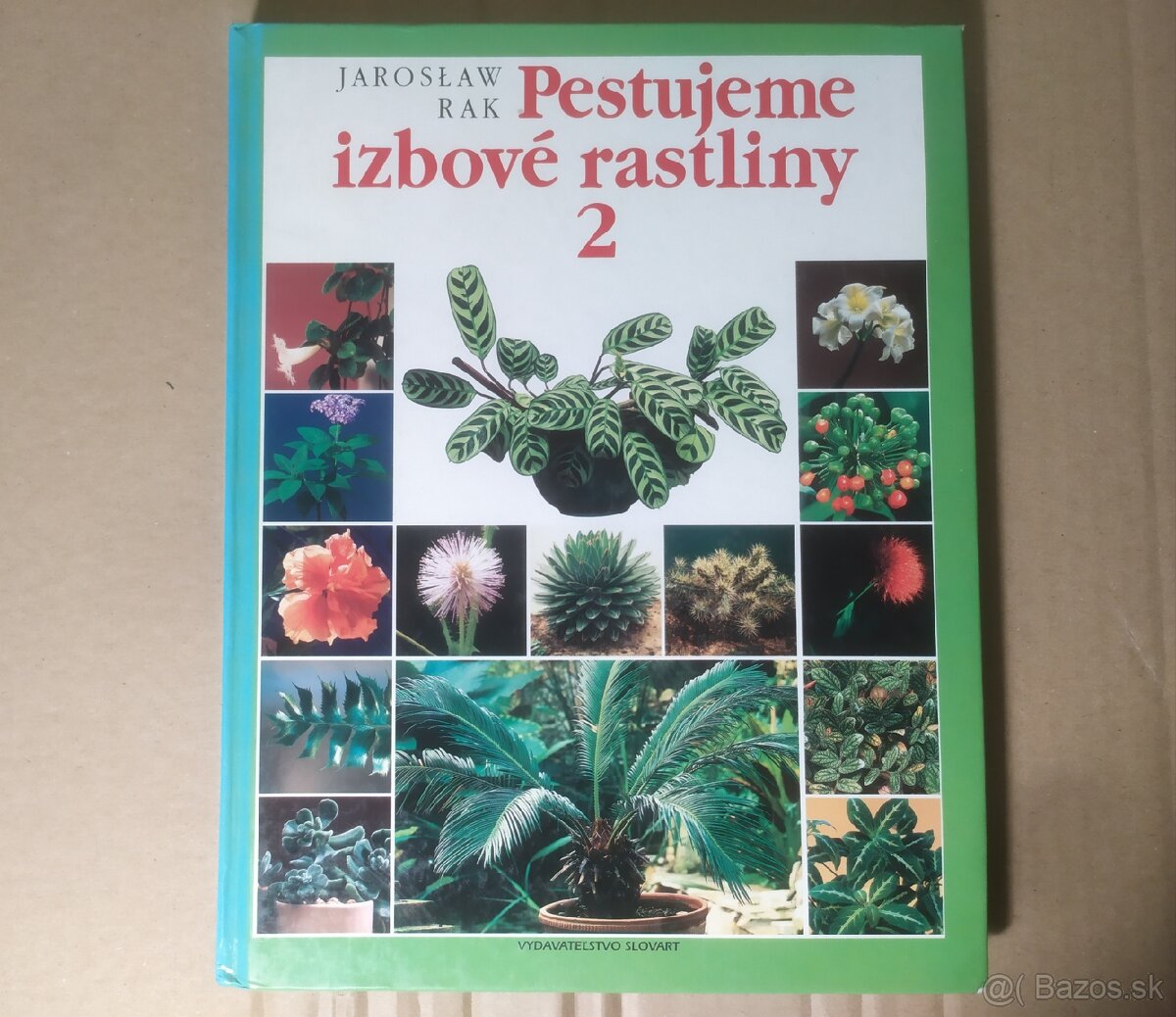 Pestujeme izbové rastliny 2