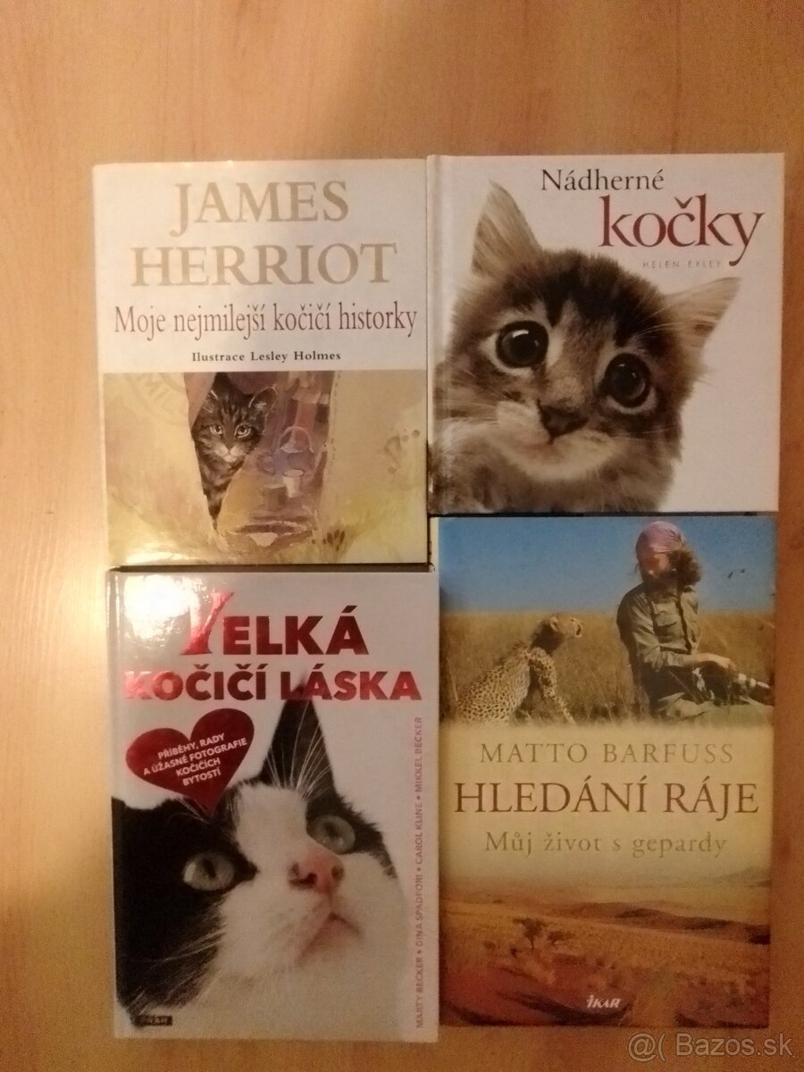 Knihy- mačky, zvieratá, levy, fínčina, Calm (v angličtine)