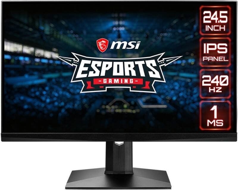MSI Optix MAG251RX