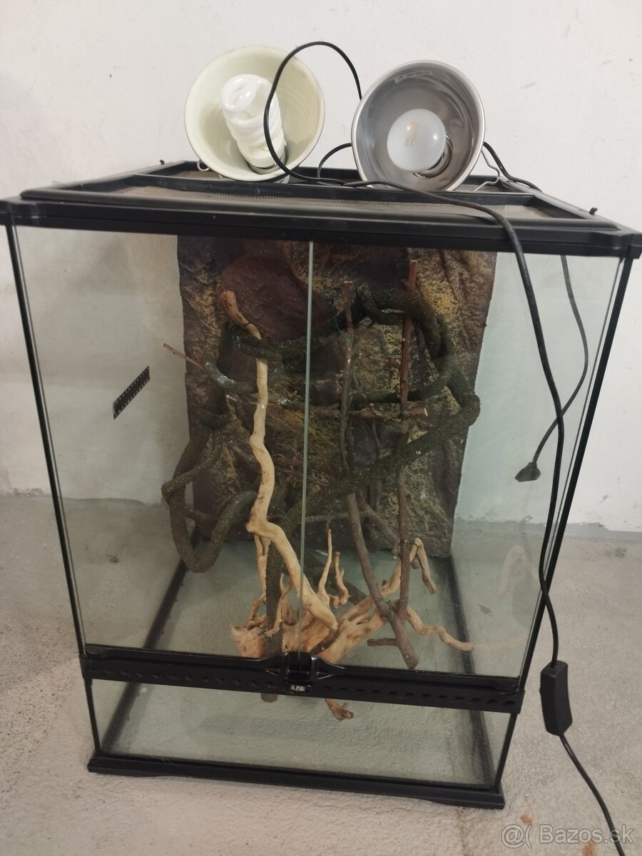 Predám terarium