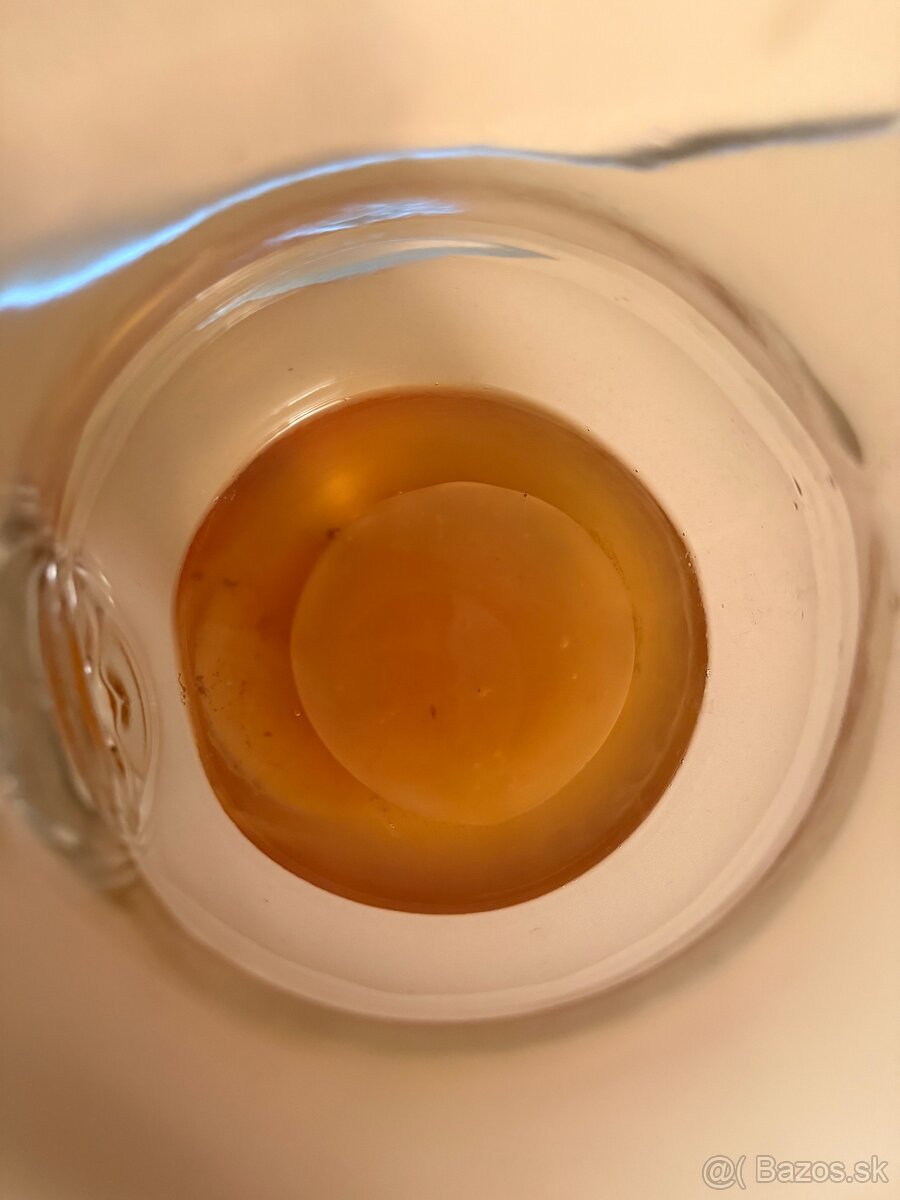 Predam hubu Kombucha - Scoby
