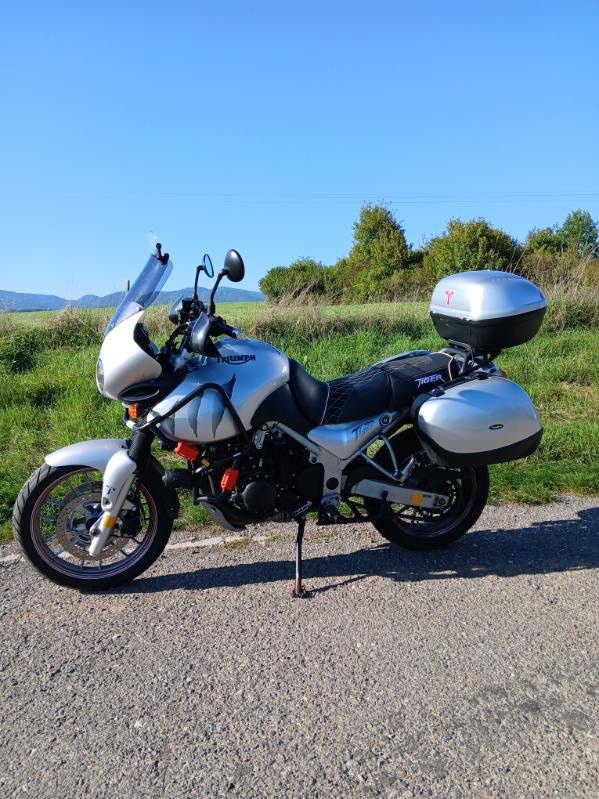 Triumph tiger 955i