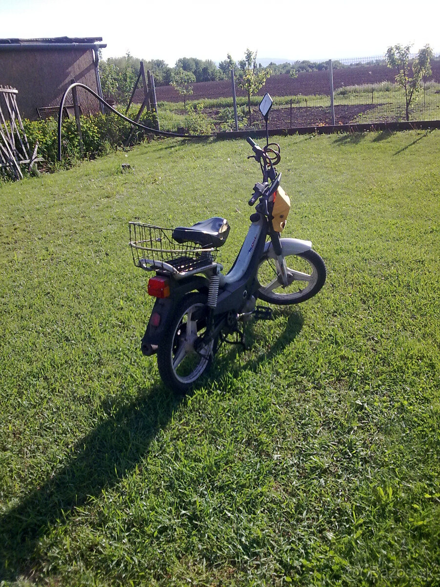 Korado manet Poliny 70