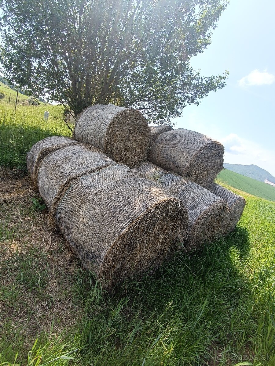 Slama pšeničná