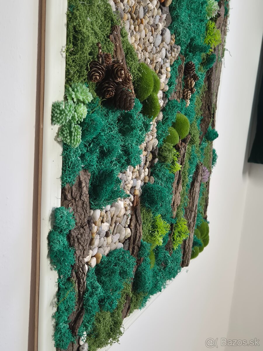 Obraz z konzumovaneho machu