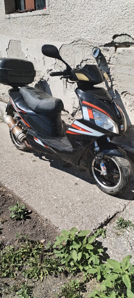Motorro shark