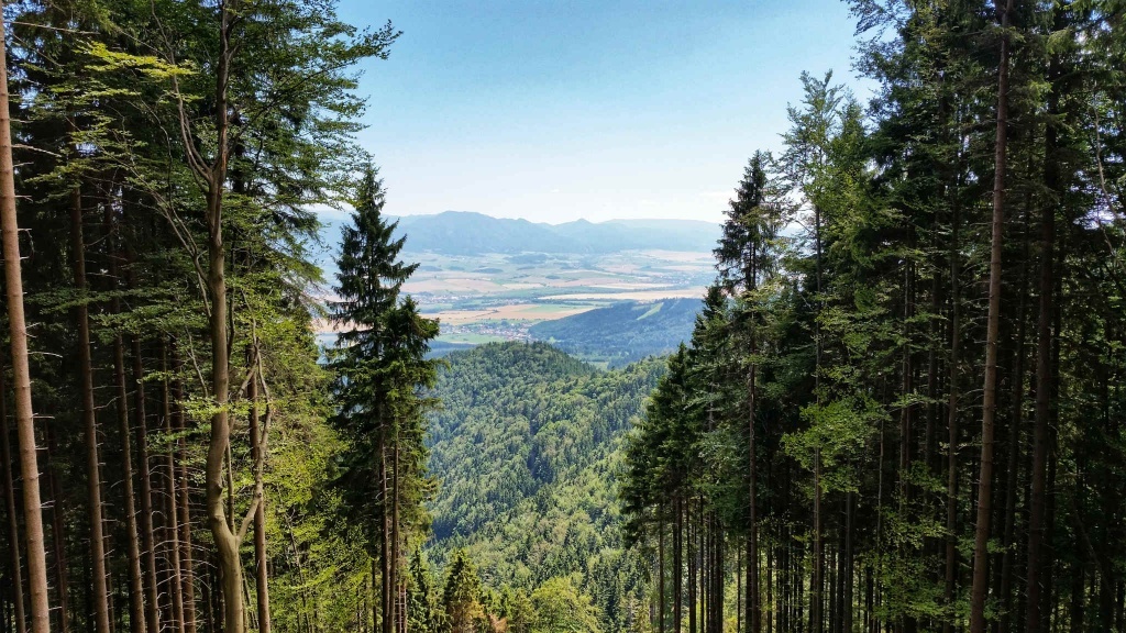 Predám lesný pozemok pod Martinskými Hoľami