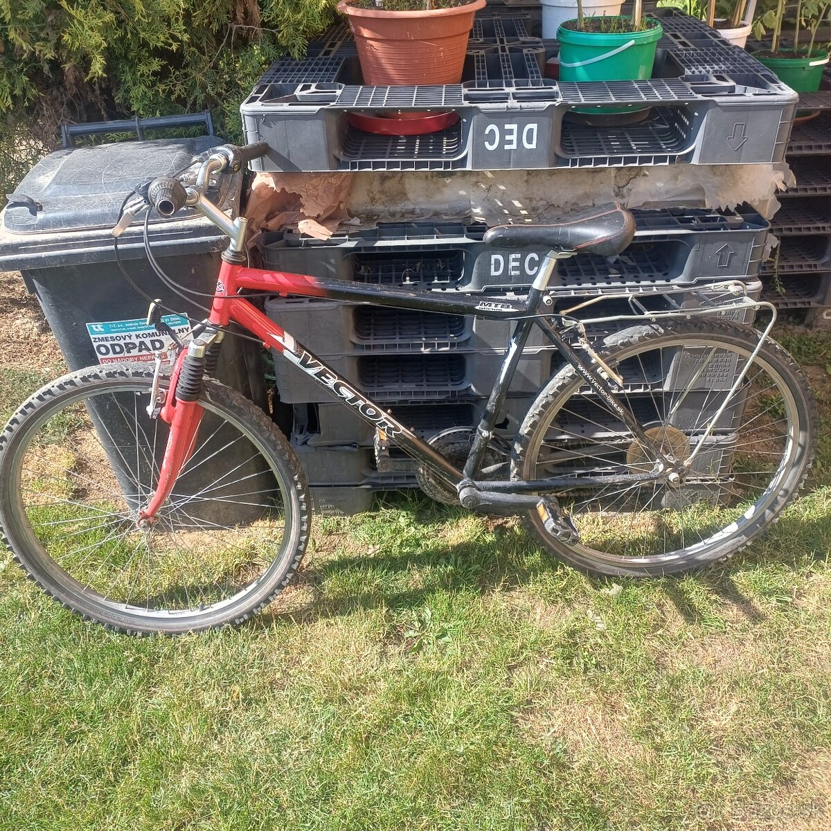 Horský bicykel Vector