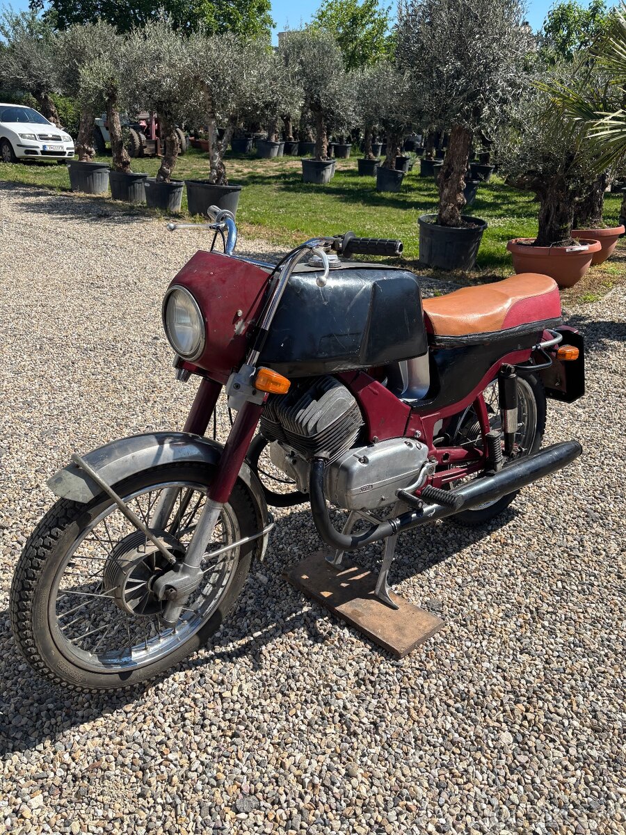 Jawa Bizon