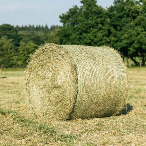 Predám veľké okrúhle balíkované SENO