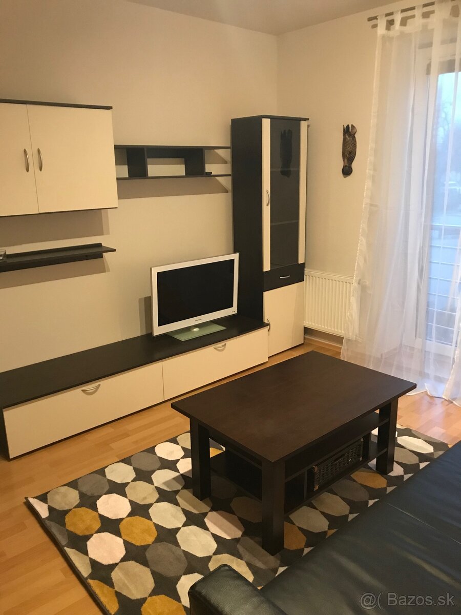 Prenajom 1 Izbový byt CASTA