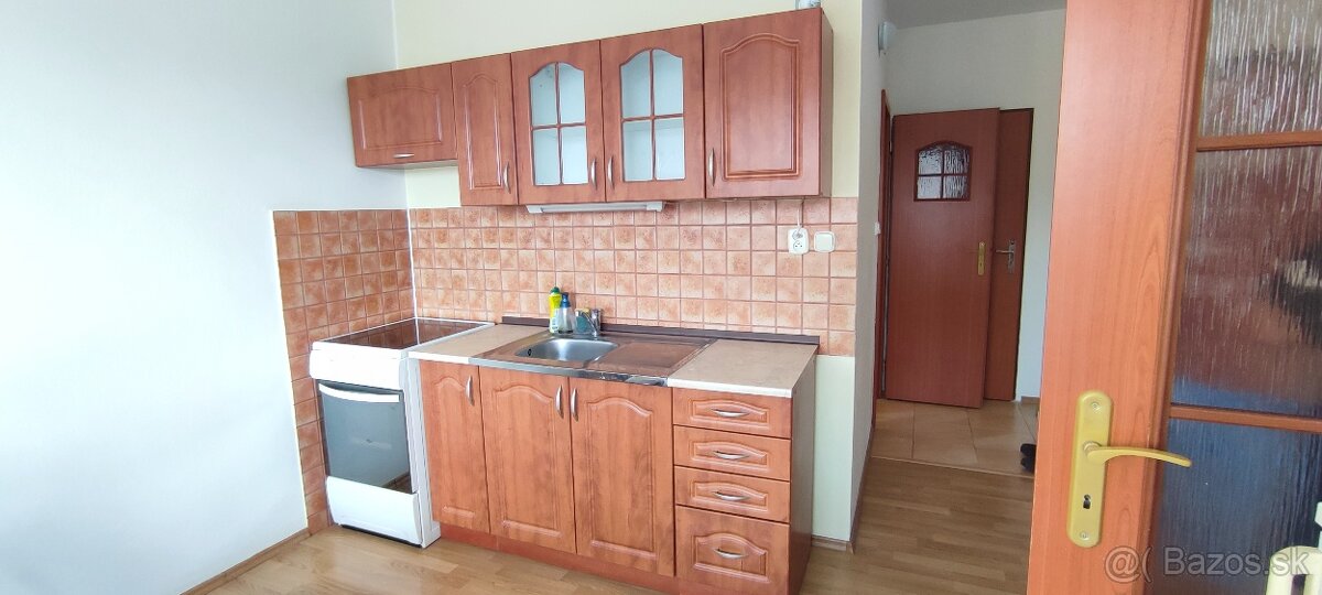 1-izbový byt na Podbrezinách