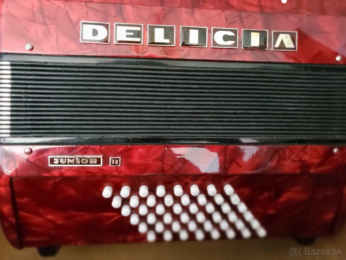 Akordeon Delicia Junior II