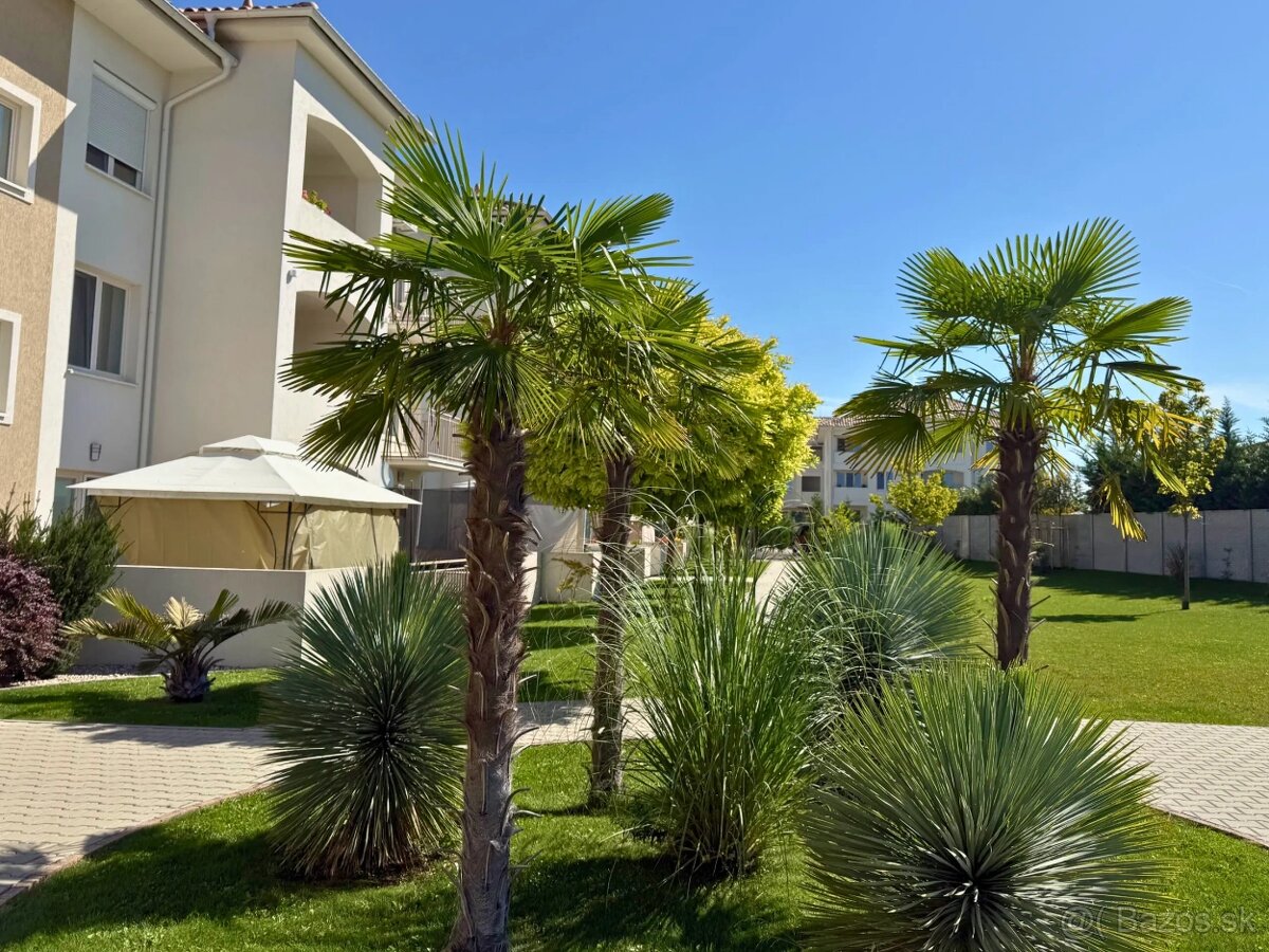 Prenájom NOVÝ 2i byt Dunajská Streda -AlicanteGate